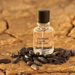 Beautiful StoriesCelebrate Life Eau De Parfum -Verzinnen Zorg Winkel IFW0xz1009260 3 global