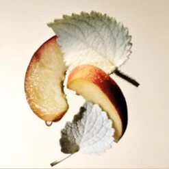 Bvlgari SplendidaPatchouli Tentation Eau De Parfum -Verzinnen Zorg Winkel QMTCcB608415 2 global