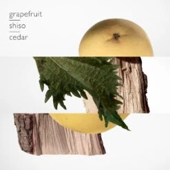 Terre D’HermèsEau De Parfum Navulling -Verzinnen Zorg Winkel Ve1f8w188062 3 global