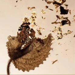 Bvlgari SplendidaPatchouli Tentation Eau De Parfum -Verzinnen Zorg Winkel ZhhmcX608415 3 global