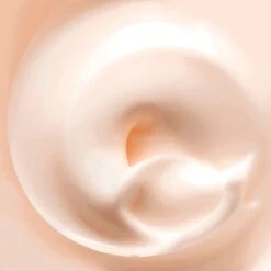 Crème Secret PremiÈres Rides 11 Crème Secret PremiÈres Rides -Verzinnen Zorg Winkel ZniQK1946901 4 global