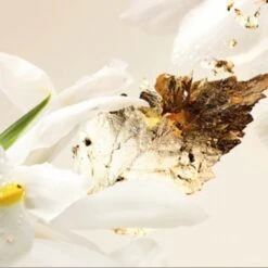 Bvlgari SplendidaPatchouli Tentation Eau De Parfum -Verzinnen Zorg Winkel b1y9hz608415 4 global