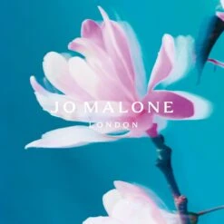 Blossoms Collection Limited EditionStar Magnolia Cologne -Verzinnen Zorg Winkel kVVV8k1078114 3 dgl NL