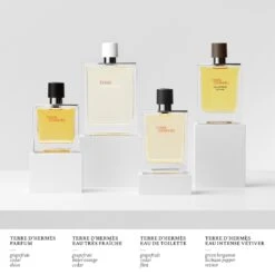 Terre D’HermèsEau De Parfum Navulling -Verzinnen Zorg Winkel lKJVj6188062 2 global