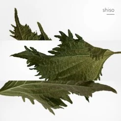 Terre D’HermèsEau De Parfum Navulling -Verzinnen Zorg Winkel uInORZ188062 6 global